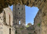 IMG_2229.JPEG