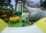 IMG_5817.jpeg