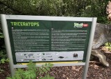 IMG_5798.jpeg