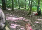IMG-20250706-WA0004.jpg