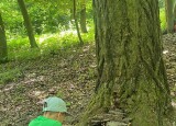 IMG-20250706-WA0017.jpg