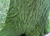 IMG-20250706-WA0010.jpg