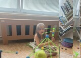 IMG_9896.jpeg