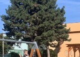 thumbnail_IMG_3919.jpg