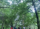 thumbnail_IMG_3942.jpg