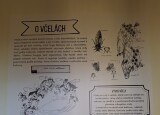 20250909_090929.jpg