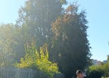 IMG-20250919-WA0007.jpg