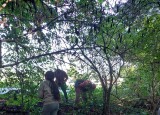 IMG-20250922-WA0014.jpg