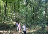 IMG_0006.jpeg