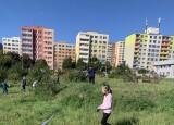 thumbnail_IMG_4179.jpg
