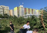 thumbnail_IMG_4181.jpg