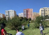 thumbnail_IMG_4180.jpg