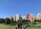 thumbnail_IMG_4172.jpg