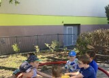 thumbnail_IMG_3916.jpg