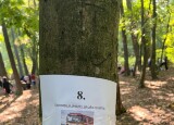 IMG_0128.jpeg