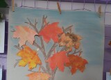 IMG-20251003-WA0007.jpg