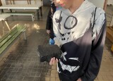 IMG_2760.JPEG