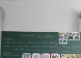 IMG-20251009-WA0029.jpg