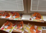 IMG_0313.jpeg