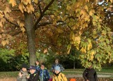 IMG_4647.jpeg