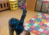 IMG_0373.jpeg