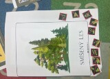 IMG_0368.jpeg