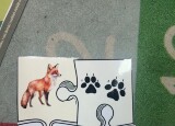 IMG_0379.jpeg