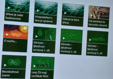 II.S PV - Podzimní listy