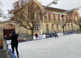 IMG_2505.jpg