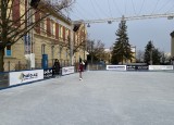 IMG_2494.jpg
