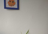 IMG-20220107-WA0044.jpg