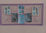 IMG-20220118-WA0019.jpg