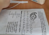 IMG-20220413-WA0019.jpg