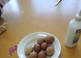 IMG-20220413-WA0014.jpg