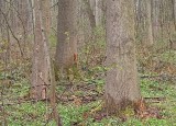 20220421_101947.jpg