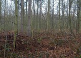 20220421_092135.jpg