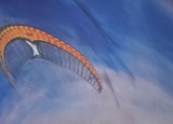 20220509_120714.jpg