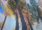 20220509_121249.jpg