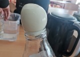 IMG_20220606_102227.jpg