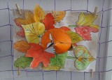 IMG-20221009-WA0046.jpg