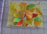 IMG-20221009-WA0052.jpg