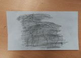 20221010_103815.jpg