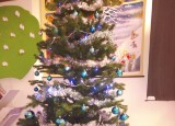IMG_20201218_080520.jpg