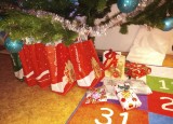 IMG_20201218_080527.jpg