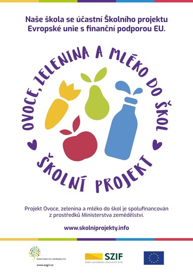 Logo partnera školy
