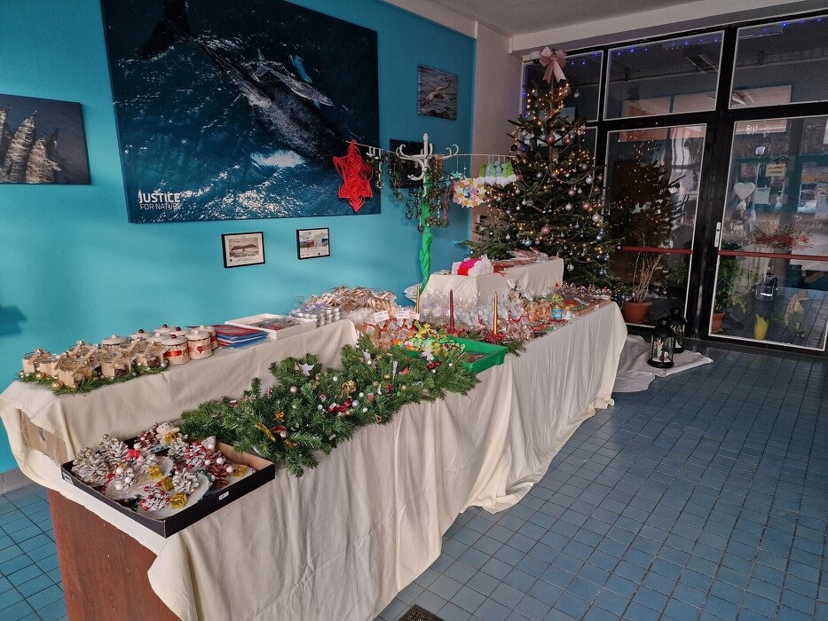 qo8rm8d2ej_____20251208_135818