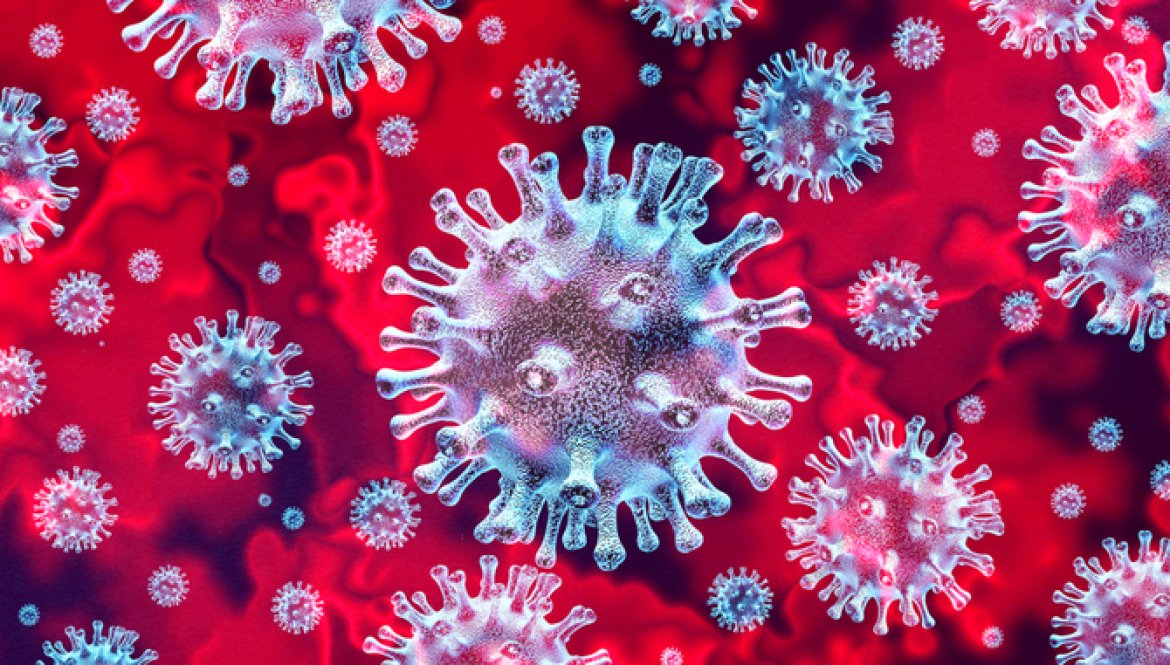 2xq7tgt8sa_____Koronavirus 2xq7tgt8sa_____Koronavirus